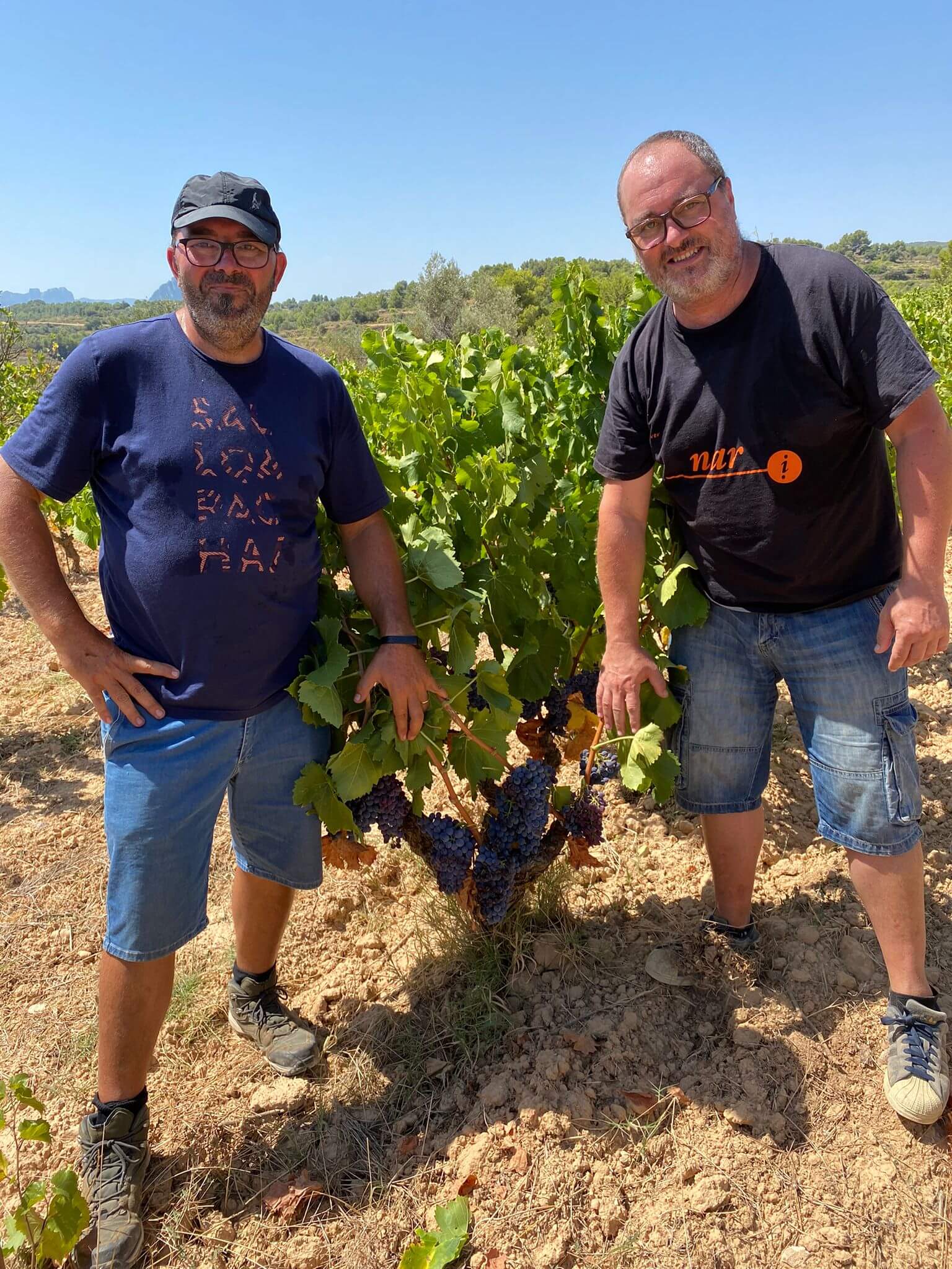 NARITORNAR Vins artesans de la Terra Alta Tarragona